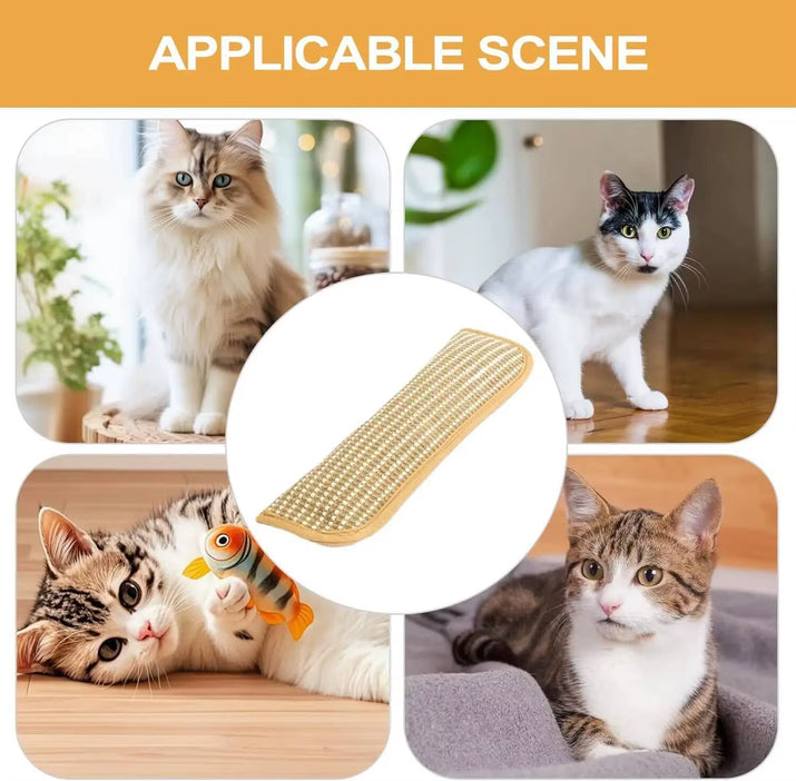 Cat Scratcher Interactive Toys for Cat Catnip Pillow Kitten Claw Grinder Scratching Post for Cats Chew Bite Toys Catnip Toy
