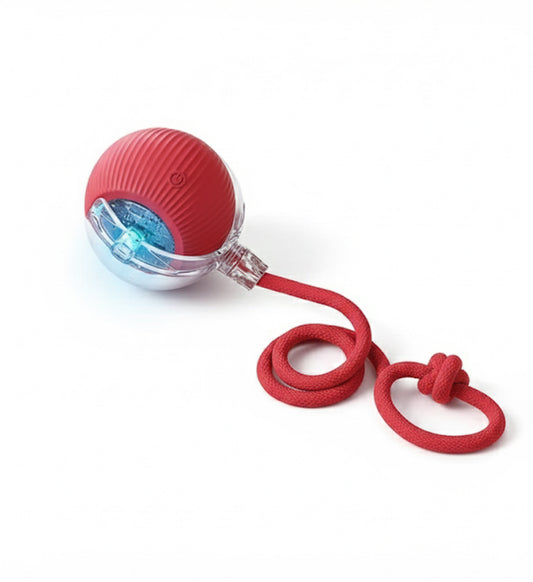 Cat Interactive Ball Toys Automatic Rolling Ball for Kitten Rechargeable Smart Pet Electric Toys with Teaser Sensor Cat Ball Toy