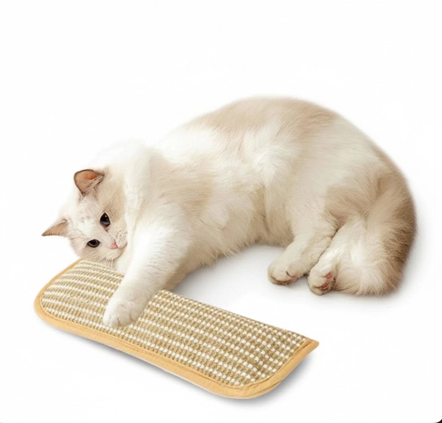 Catnip Pillow Cat Scratcher Interactive Toys