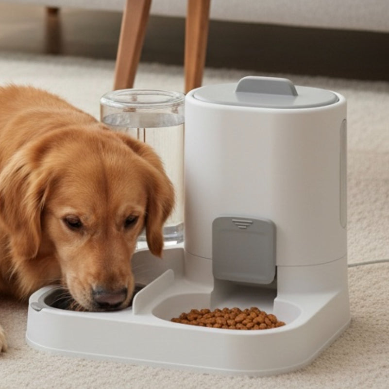 Pet Feeding and Drinking Water Two In One Food Bowl