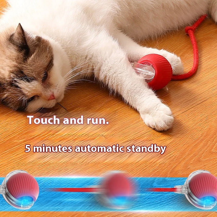 Cat Interactive Ball Toys Automatic Rolling Ball for Kitten Rechargeable Smart Pet Electric Toys with Teaser Sensor Cat Ball Toy